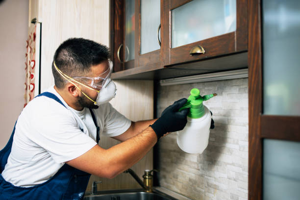 Best Pest Control for Restaurants  in Roundup, MT