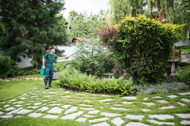 Best Best Pest Control Companies  in Roundup, MT