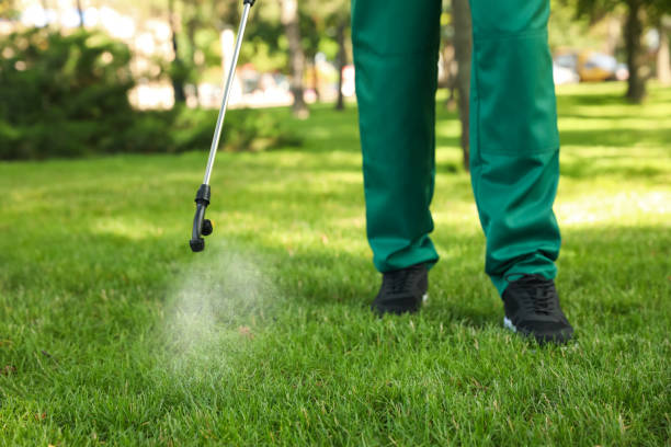 Best Residential Pest Control  in Roundup, MT