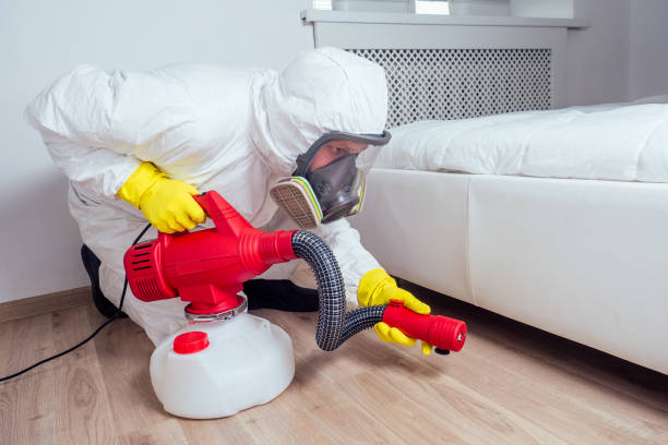 Best Wasp Removal Services  in Roundup, MT