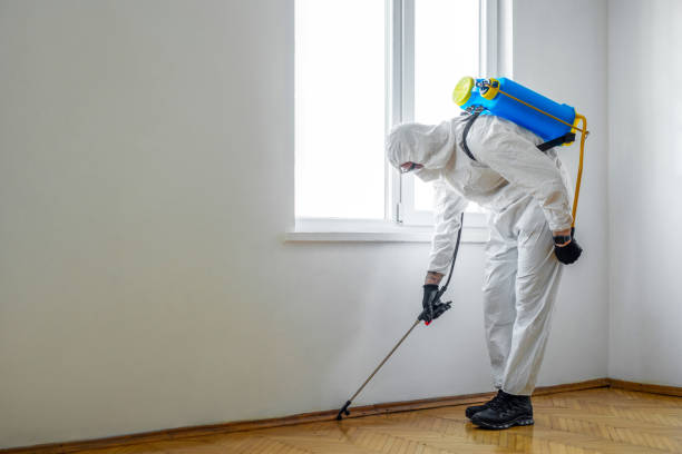 Best Pest Inspection Near Me  in Roundup, MT