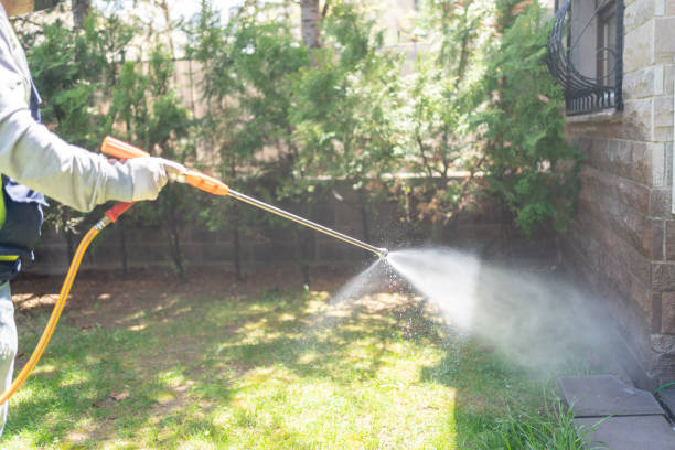 Best Pest Removal Services  in Roundup, MT