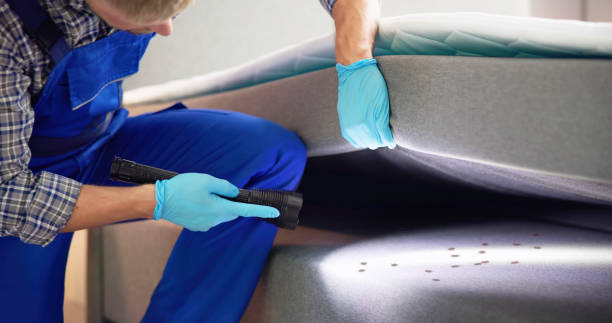 Reliable Roundup, MT Pest Control Solutions