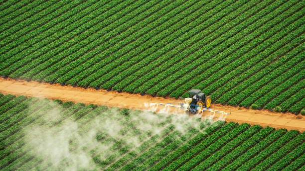 Best Emergency Pest Control  in Roundup, MT