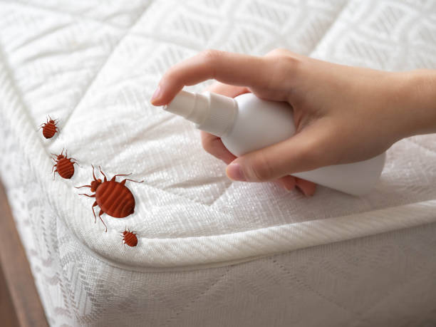 Best Exterminator Services  in Roundup, MT
