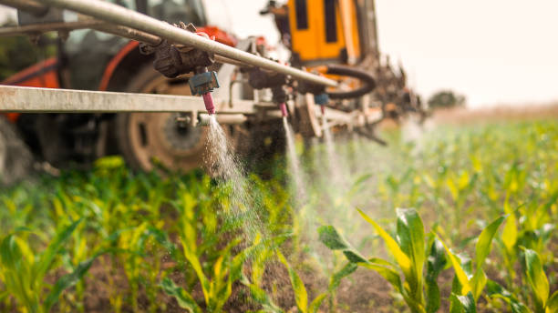 Best Affordable Pest Control Services  in Roundup, MT
