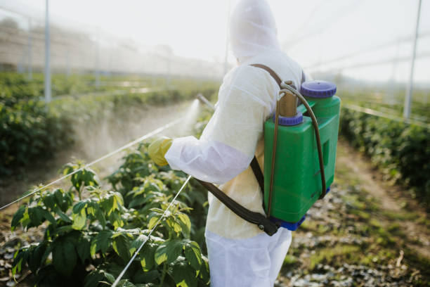 Best Insect Control  in Roundup, MT